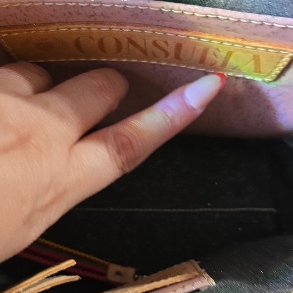 Consuela Black and Multicolor Bag - Picture 10 of 15